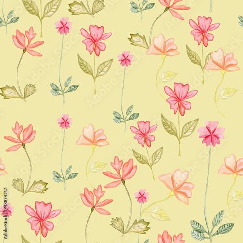 Watercolor sweet colorful color wild floral pattern, delicate flower wallpaper, wildflowers color flower,pink,tansy, pansies.Wallpaper on a white background © Lena