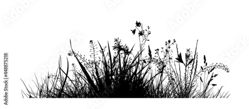 Grass silhouette. Monochrome grass with flowers. Vector illustration