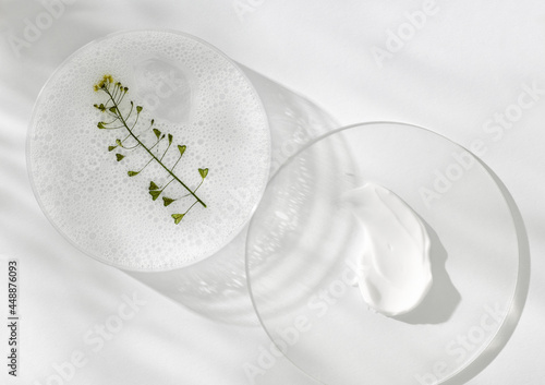 clean beauty products