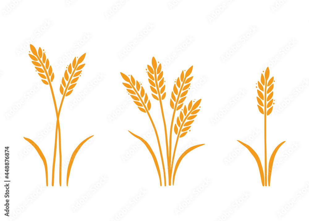 Wheat, barley, rice icon. Hand drawn sketch style oat with grain. Wheat isolated vector illustration. Golden color barley. Wheat, barley, rice icon. Hand drawn sketch style oat with grain. Wheat isolated vector illustration. Golden color barley.