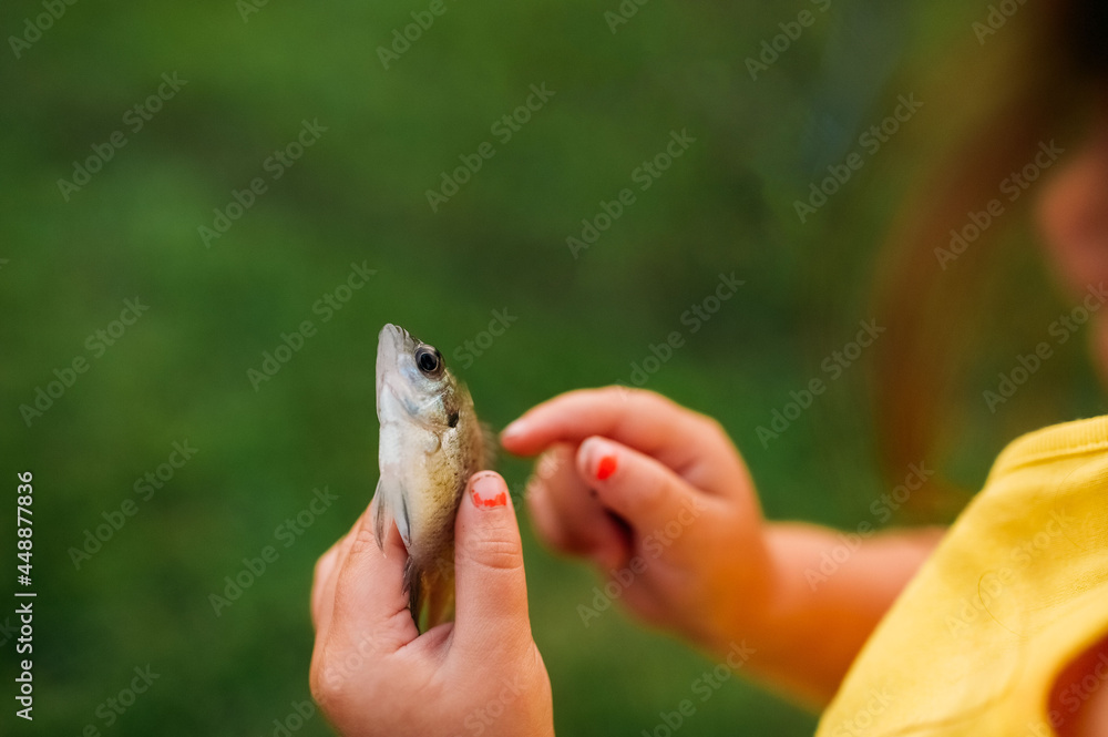 Small fish being held in child's hand. Small fish being held in child's hand.