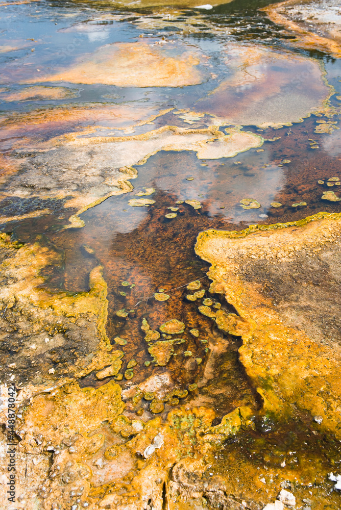 Fototapeta premium Geothermal formations in Yellowstone National Park. 