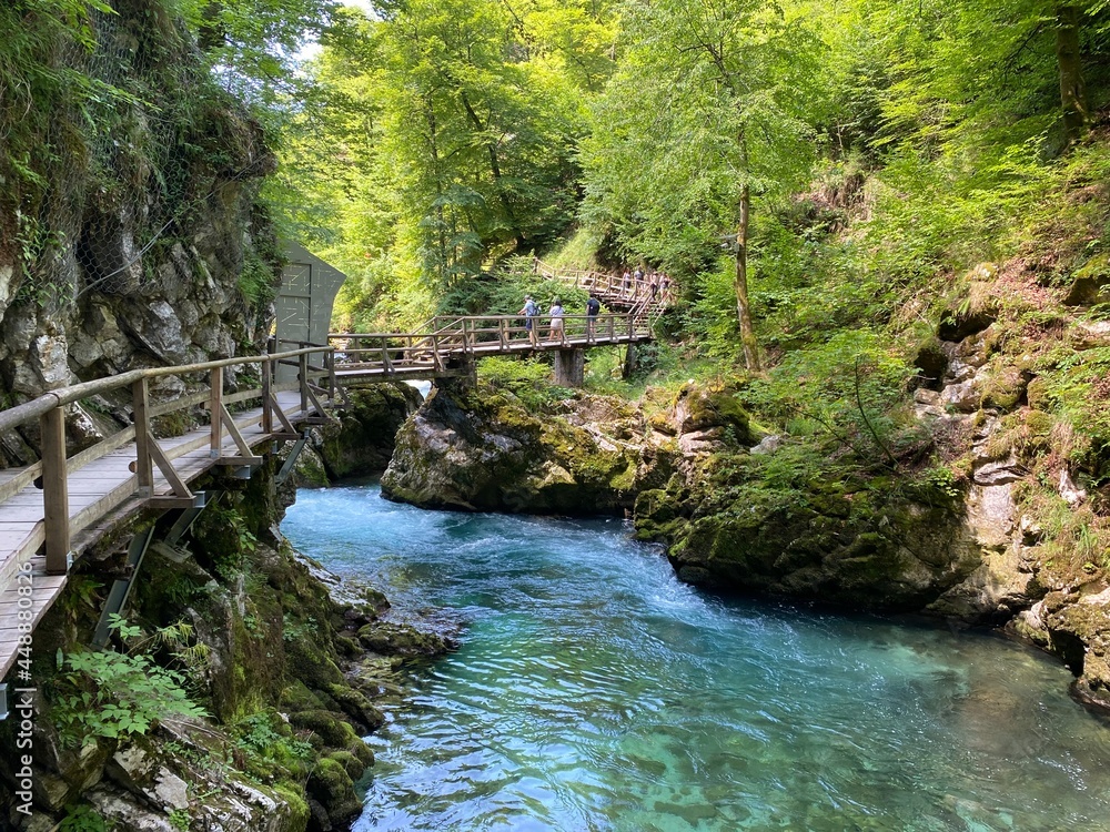 Naklejka premium Hiking trail through Vintgar Gorge or Bled Gorge - Bled, Slovenia (Triglav National Park) - Wanderweg durch die Vintgar-Schlucht oder Vintgarklamm - Bled, Slowenien (Triglav-Nationalpark)
