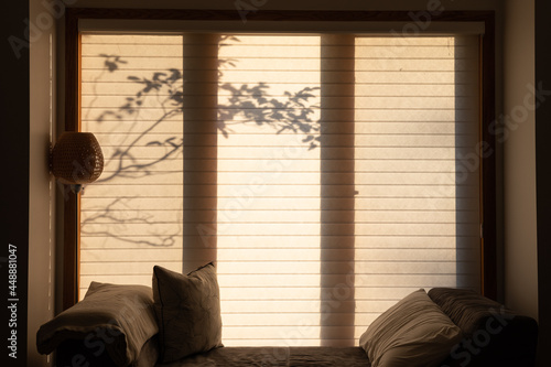 Silhouetted tree through a window