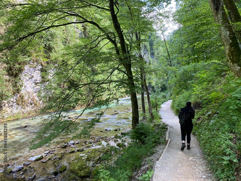 Hiking trail through Vintgar Gorge or Bled Gorge - Bled, Slovenia (Triglav National Park) - Wanderweg durch die Vintgar-Schlucht oder Vintgarklamm - Bled, Slowenien (Triglav-Nationalpark) Hiking trail through Vintgar Gorge or Bled Gorge - Bled, Slovenia (Triglav National Park) - Wanderweg durch die Vintgar-Schlucht oder Vintgarklamm - Bled, Slowenien (Triglav-Nationalpark)