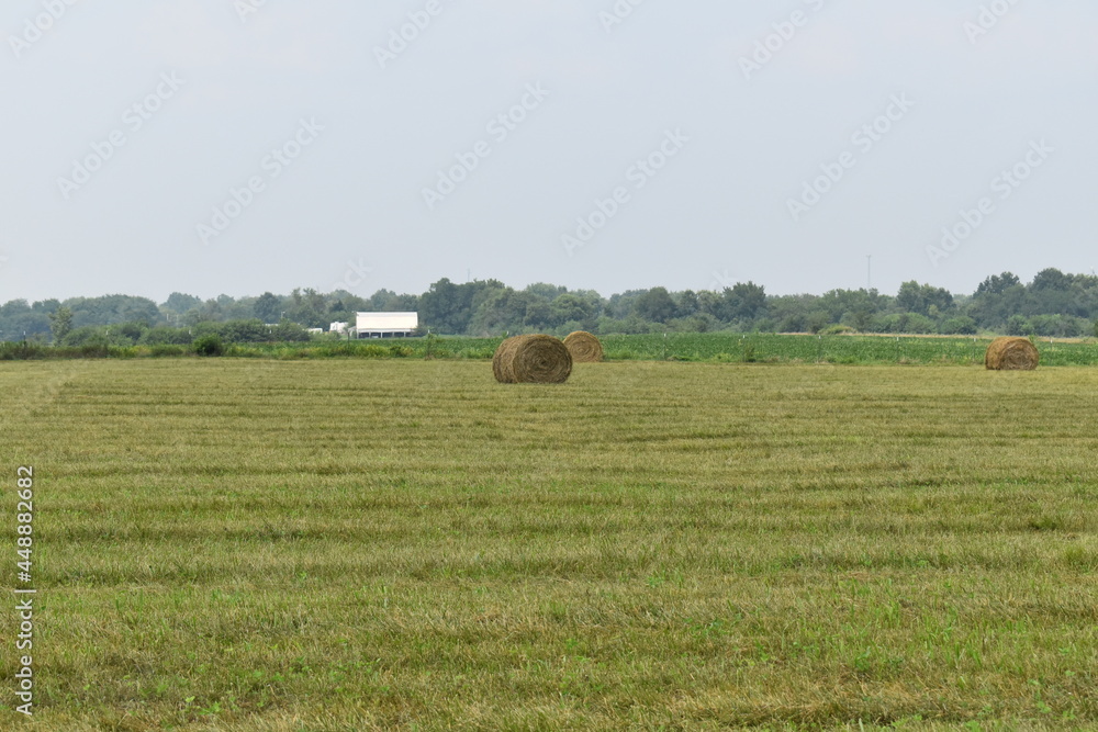 Fototapeta premium Hay Field