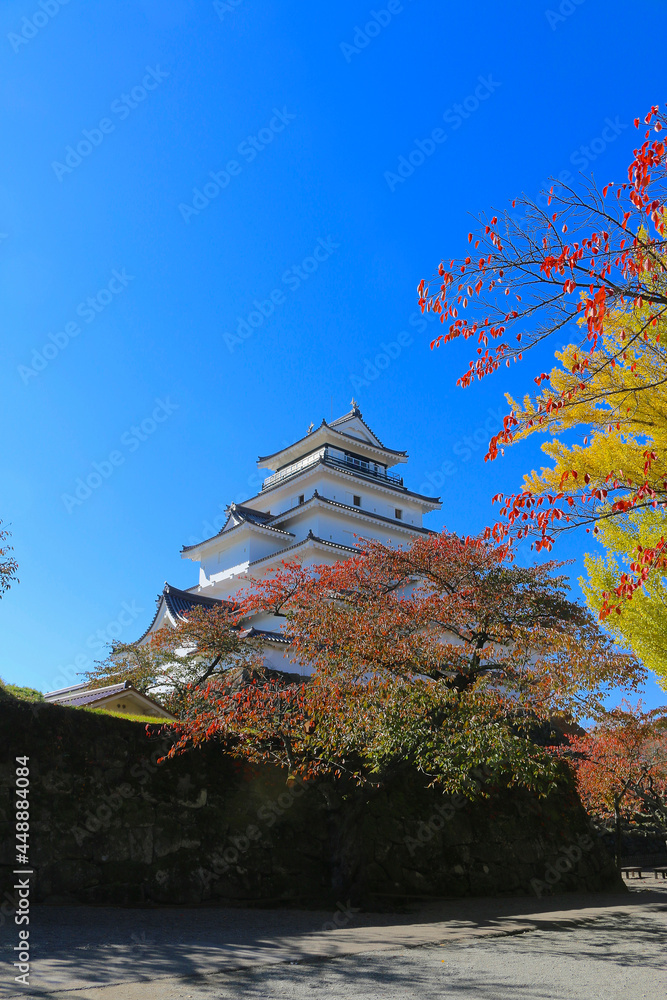 Fototapeta premium 秋の鶴ヶ城公園（福島県・会津若松市）