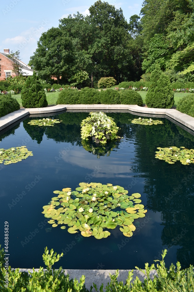 Pool in a Flower Garden