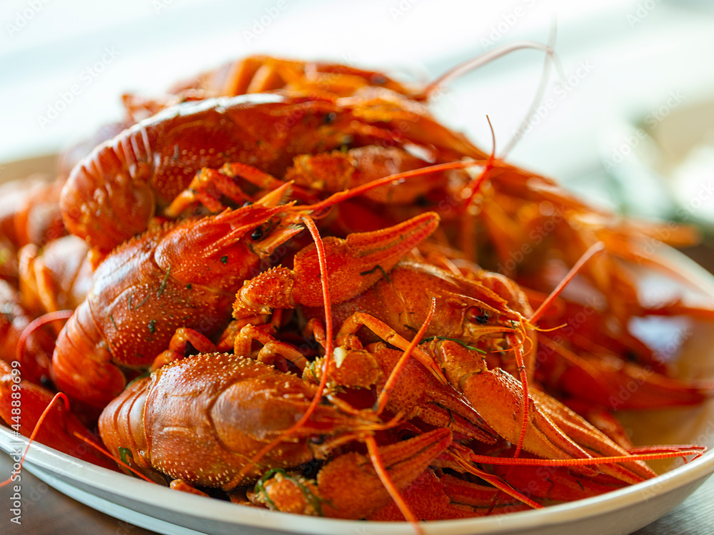 boiled red crayfish, natural protein food boiled red crayfish, natural protein food