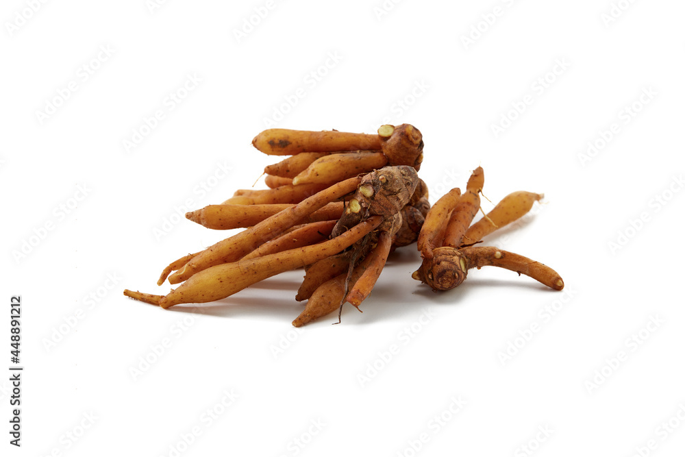 Finger root rhizome isolated on white Finger root rhizome isolated on white