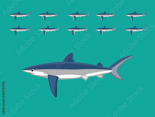 Animal Animation Sequence Blue Shark Cartoon Vector