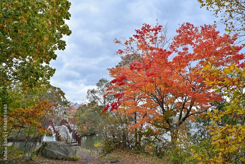 晩秋の大沼公園で見たカラフルな紅葉情景＠北海道