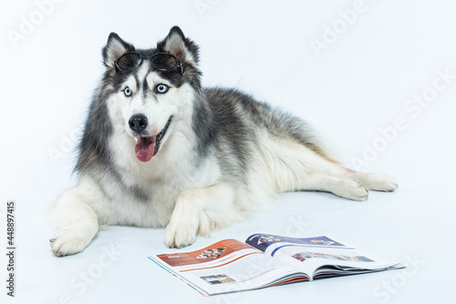 saberiam rusk lendo revista photo