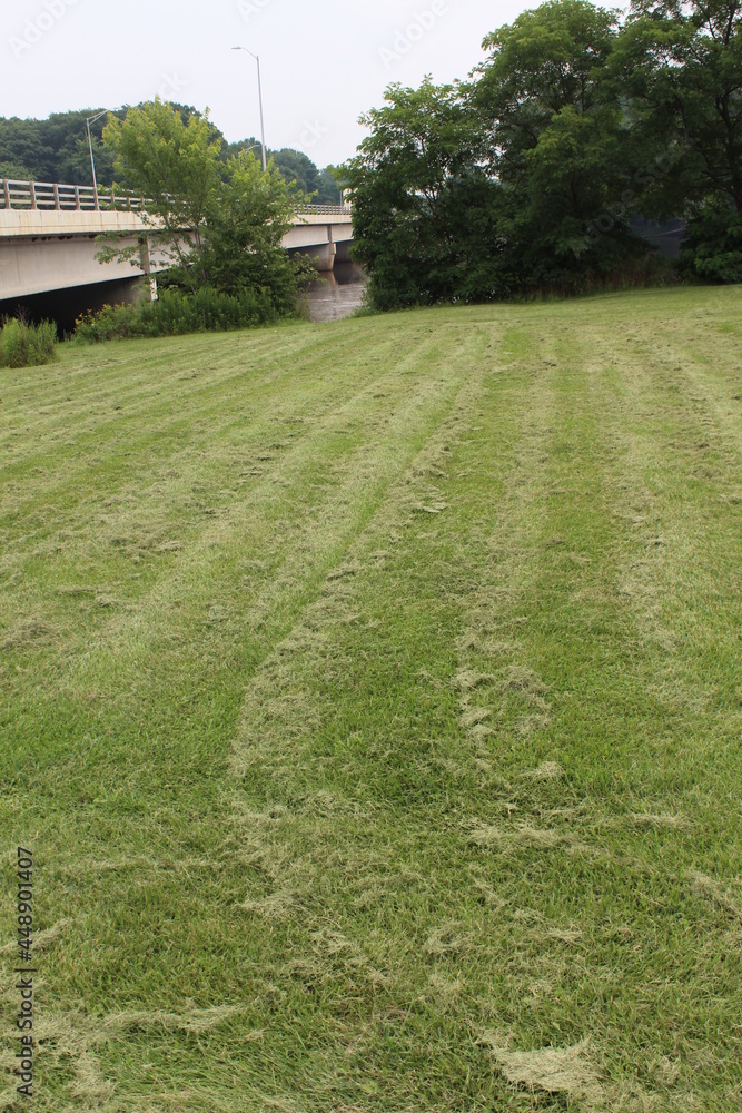 Obraz premium path in the park