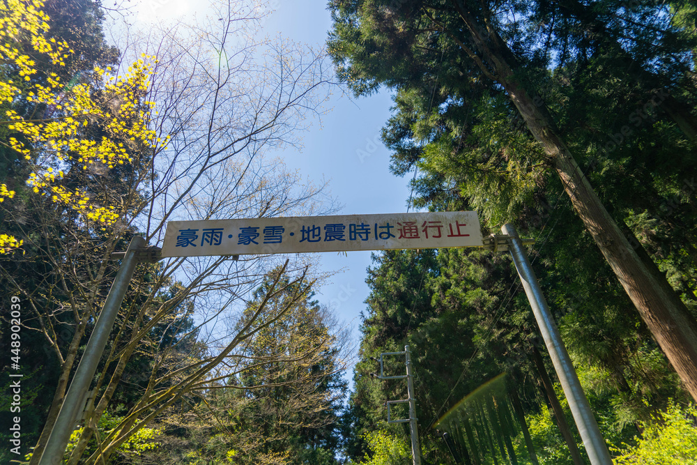 Fototapeta premium 東京都八王子市の陣馬山で登山をする風景 Scenery of climbing Mount Jinma in Hachioji City, Tokyo.