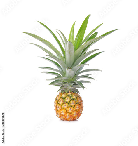 Pineapple isolated on white background