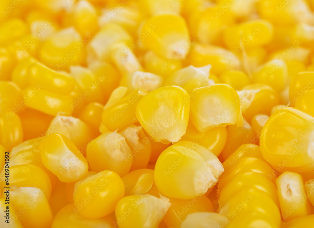 Tasty yellow grains of corn. Whole background. Tasty yellow grains of corn. Whole background.