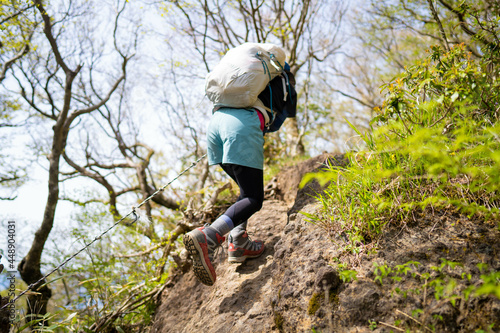 神奈川県南足柄市の金時山で登山する女性 A woman climbs Mount Kintoki in Minami Ashigara City, Kanagawa Prefecture. 