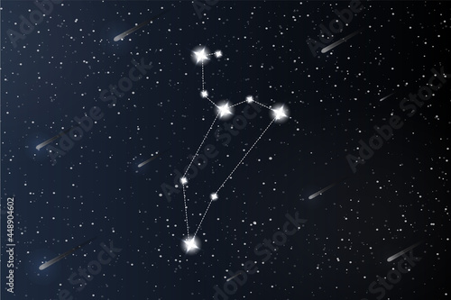 Leo. Zodiac constellation on outer space background. Mystery and esoteric. Horoscope vector illustration. Spiritual tarot poster. Magic occult tarot and astrology cards.