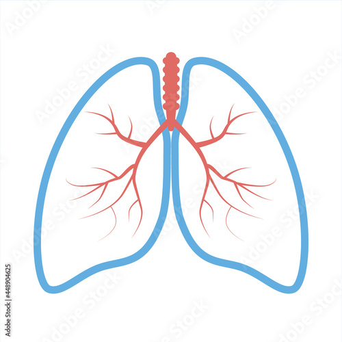 lungs icon, breath linear sign on white background