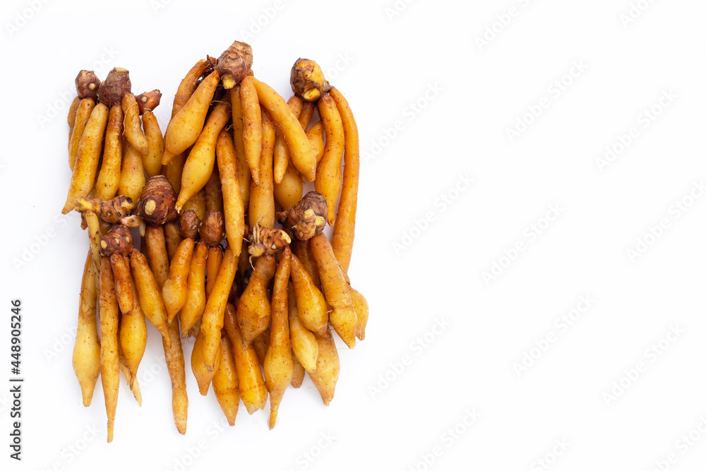 Fingerroot on a white background. Fingerroot on a white background.