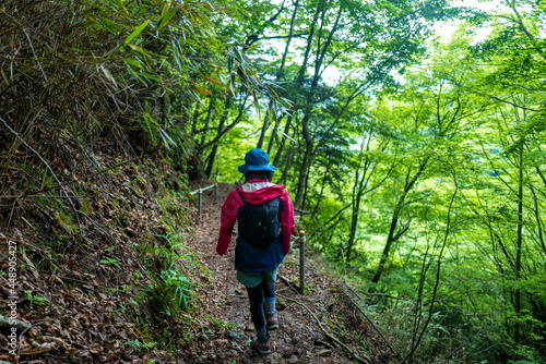 静岡県沼津市の愛鷹山黒岳で登山する女性 A woman climbs Mount Aitakayama Kurodake in Numazu City, Shizuoka Prefecture, Japan.