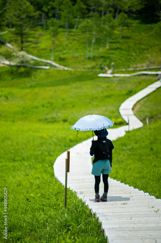 長野県伊那市の入笠山で登山とお花観賞を楽しんでいる女性 A woman enjoying mountain climbing and flower viewing at Mount Nyukasa in Ina City, Nagano Prefecture.