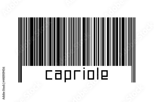 Fotografie Barcode on white background with inscription capriole below