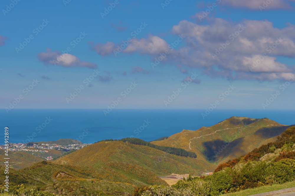 view from the Owhiro Bay wind turbine, Wellington New Zealand 