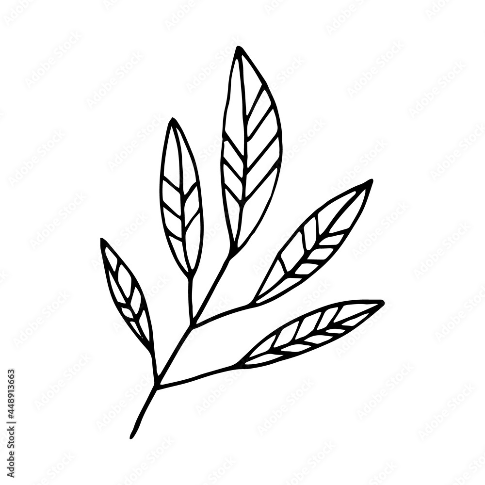 abstract leaves icon. hand drawn doodle. vector, scandinavian, nordic, minimalism, monochrome. plant, herbarium. abstract leaves icon. hand drawn doodle. vector, scandinavian, nordic, minimalism, monochrome. plant, herbarium.