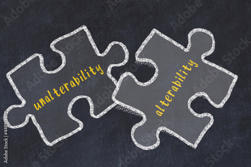 Ploblem solving. Chalk sketch of two puzzles with words unalterability and alterability