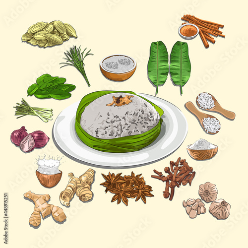 Nasi Gurih And Ingredients Illustration, Sketch And Vector Style, Traditional Food From Aceh, Good to use for restaurant menu. Indonesian cuisine, recipe book, and food element concept.