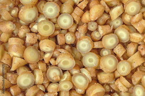 Photos Close up of Slice Fingerroot, Kaempfer, Boesenbergia rotunda (L