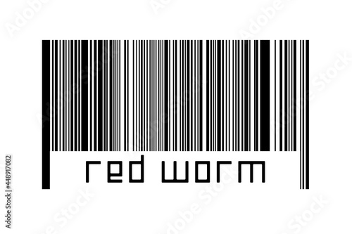 Digitalization concept. Barcode of black horizontal lines with inscription red worm photo