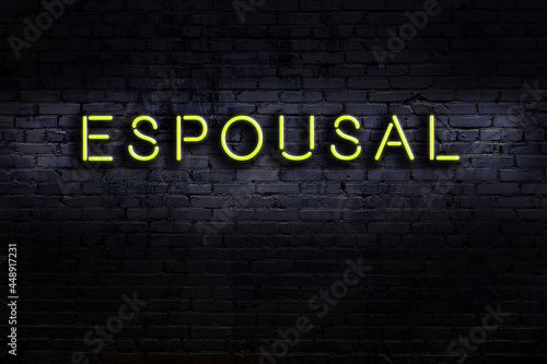 Fotografie Night view of neon sign on brick wall with inscription espousal