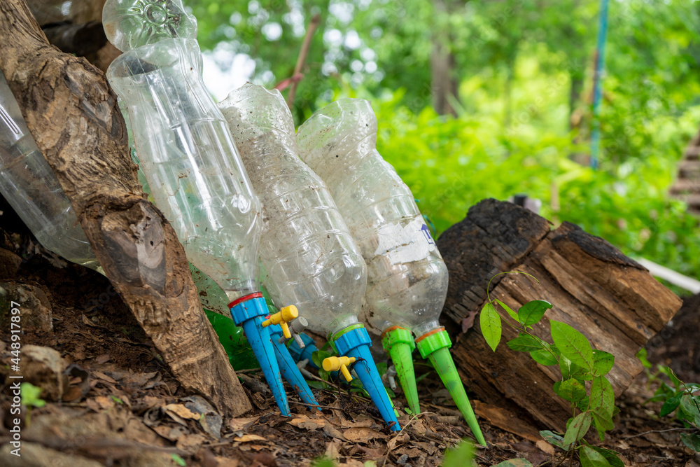 Obraz premium Modified plastic bottles for automatic watering of plants.