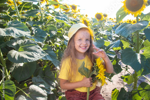 Little happy girl holding a big sunflower in her hand  big yellow flowers  a child in a field of sunflowers. 