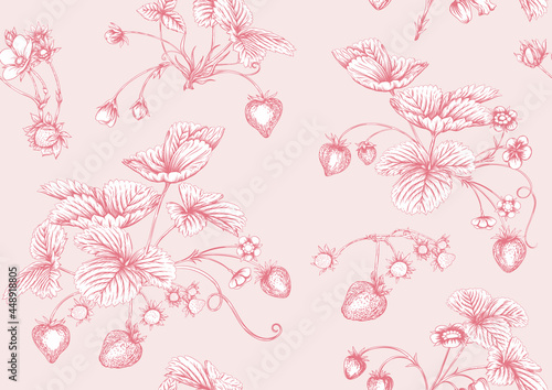 Fototapeta Naklejka Na Ścianę i Meble -  Strawberry. Ripe berries. Seamless pattern, background. Vector illustration. In graphic, egraving, botanical style in soft pink colors..