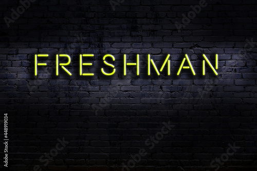 Neon sign. Word freshman against brick wall. Night view photo