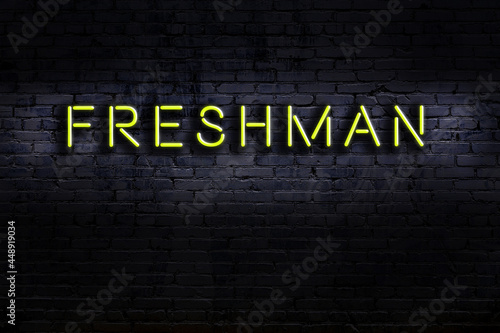 Neon sign. Word freshman against brick wall. Night view