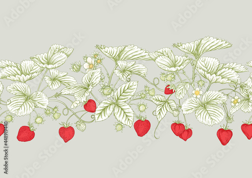 Strawberry. Ripe berries. Seamless pattern, background. Vector illustration. In botanical style, color and outline.