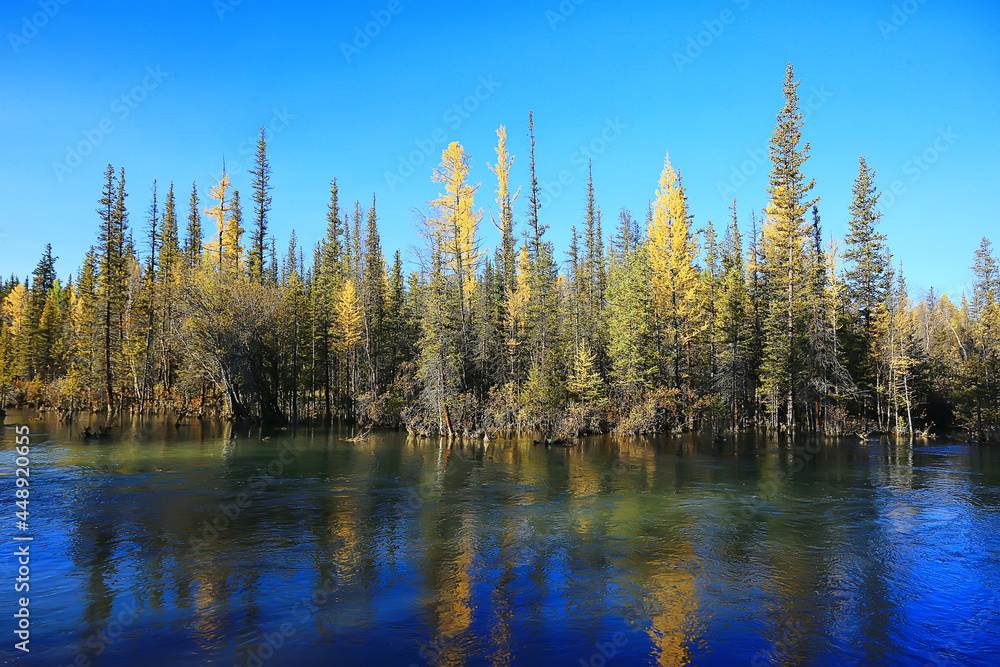 scenic, autumn landscape trees and forest river and lake, nature view fall background