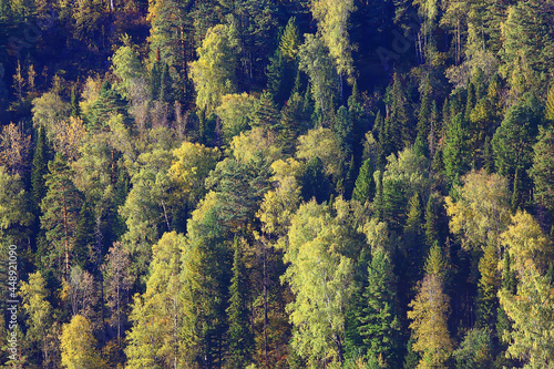 summer landscape in forest background panorama nature summer season landscape trees