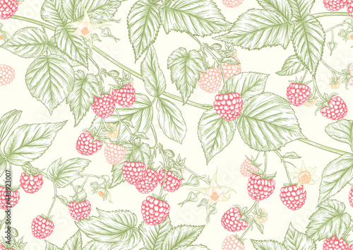 Raspberry. Ripe berries on branch. Seamless pattern, background. Graphic drawing, engraving style. Vector illustration on black background.