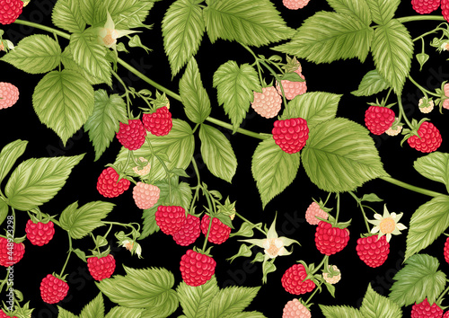 Raspberry. Ripe berries on branch. Seamless pattern, background. Graphic drawing, engraving style. Vector illustration on black background.