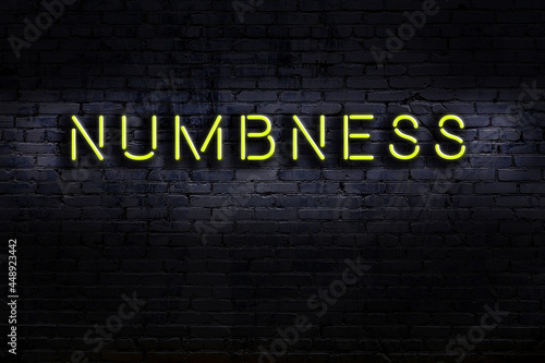 Night view of neon sign on brick wall with inscription numbness photo