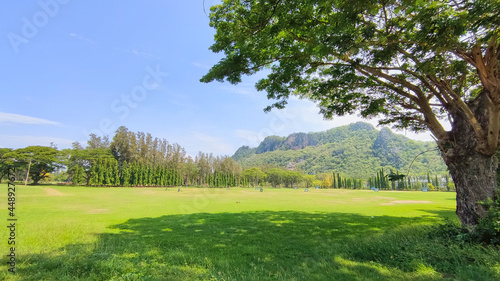 Scenic golf driving range with vibrant green trees in the background. 