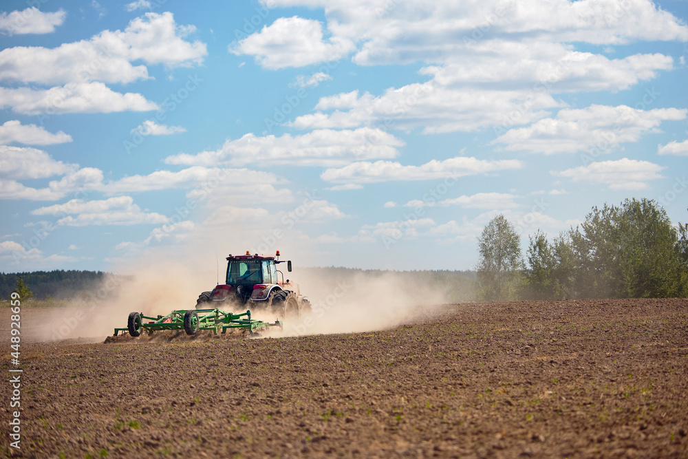 Naklejka premium Typical agricultural scene tractor cultivation in field in clouds of dust drives off into the distance with birches. Selective focus red farm tractor with green plow under blue sky with copyspace.