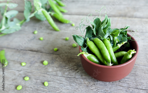 Young green peas and plant branches on a rustic background in a bowl. Organic vegetables for diet food, delicious food.