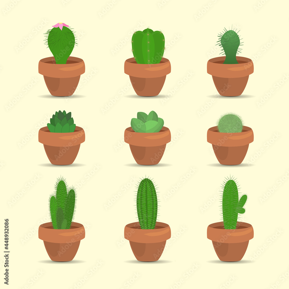 Fototapeta premium set Illustration cactus flower vector art botany
